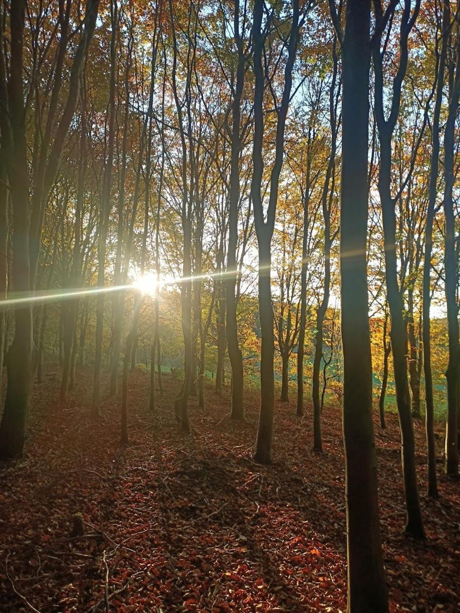 Willa Dri Les Courtils La-Roche-en-Ardenne Zewnętrze zdjęcie