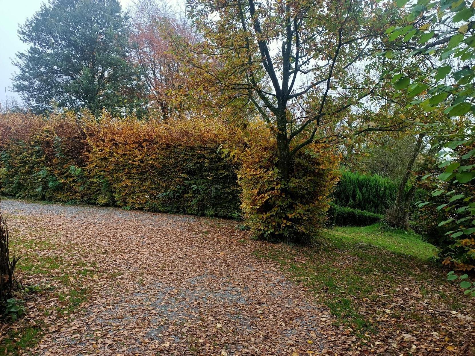 Willa Dri Les Courtils La-Roche-en-Ardenne Zewnętrze zdjęcie